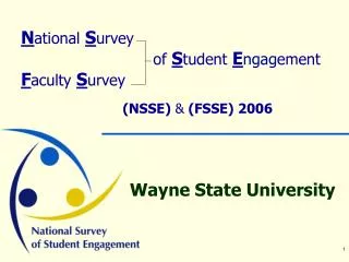 N ational S urvey of S tudent E ngagement F aculty S urvey (NSSE) &amp; (FSSE) 2006
