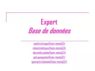expert base de donn es