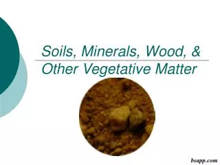 Soils, Minerals, Wood, &amp; Other Vegetative Matter