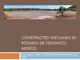 Constructed Wetlands in RosARIO DE TESOPACO, mEXICO