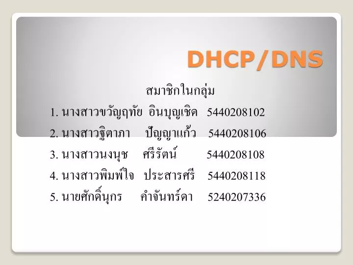 dhcp dns