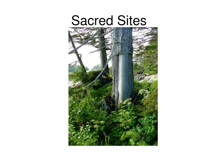 sacred sites