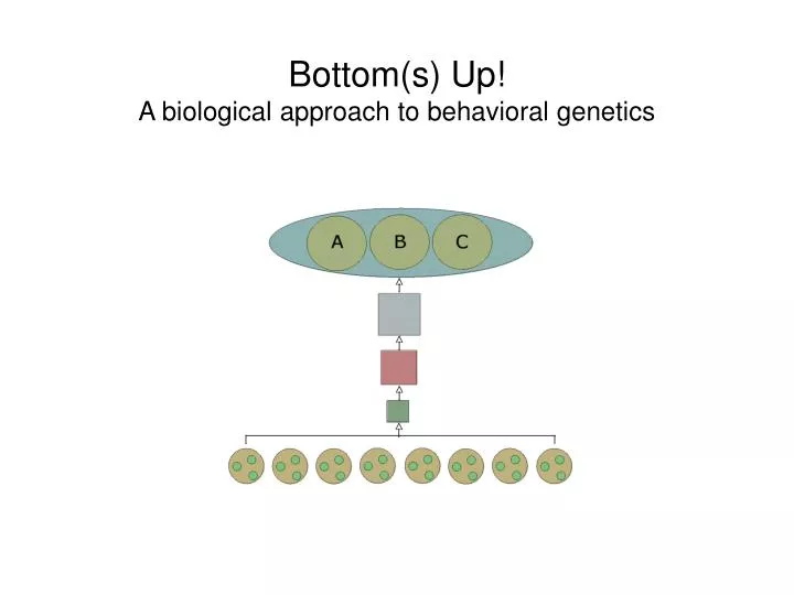 bottom s up a biological approach to behavioral genetics