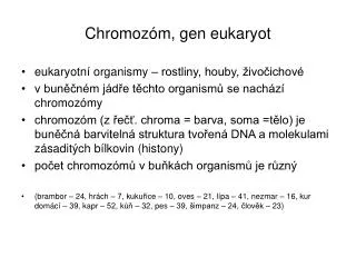 chromoz m gen eukaryot