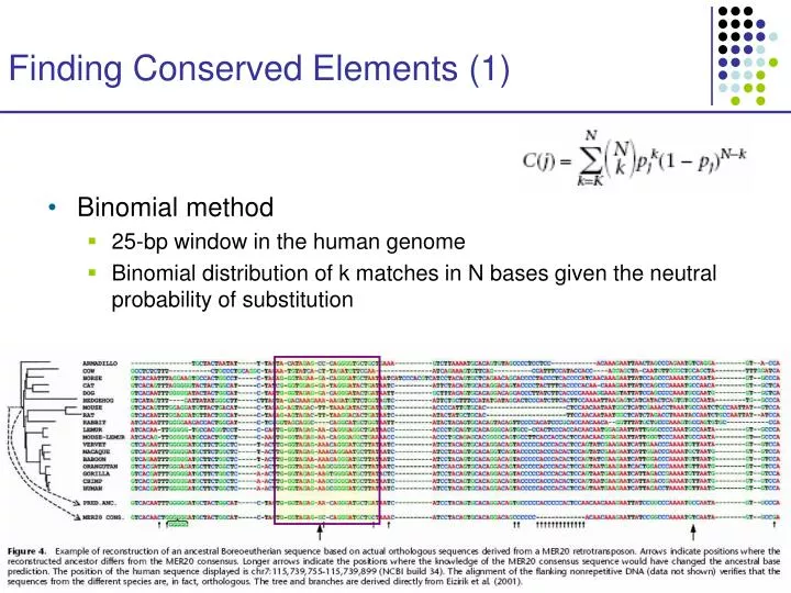 finding conserved elements 1