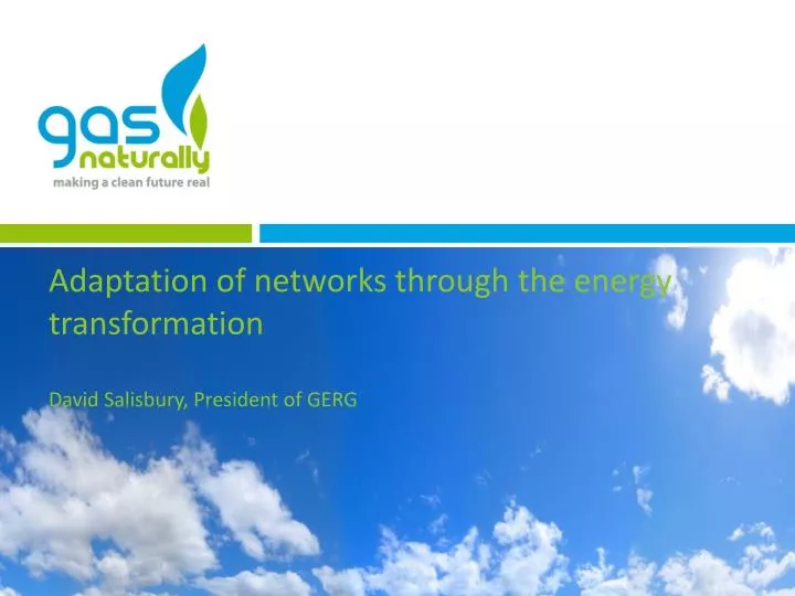 adaptation of networks through the energy transformation david salisbury president of gerg