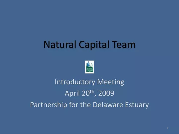 natural capital team