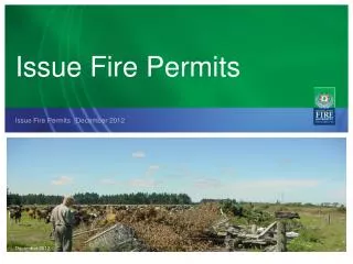 Issue Fire Permits