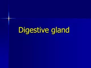 Digestive gland