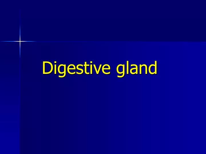 digestive gland