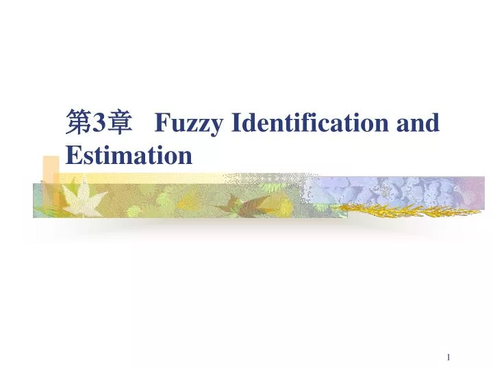 3 fuzzy identification and estimation