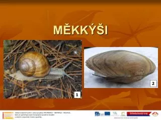 m kk i