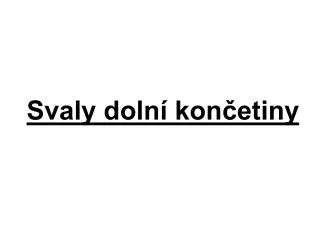 svaly doln kon etiny