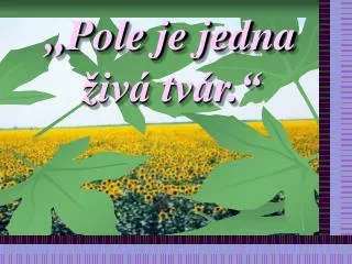 pole je jedna iv tv r