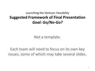 Launching the Venture: Feasibility Suggested Framework of Final Presentation Goal: Go/No-Go?