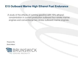 E15 Outboard Marine High Ethanol Fuel Endurance
