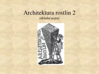 architektura rostlin 2 z kladn pojmy