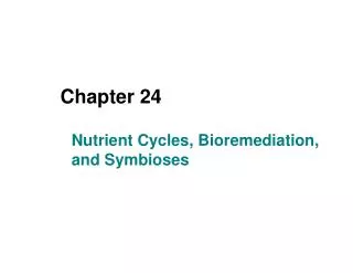 Nutrient Cycles, Bioremediation, and Symbioses