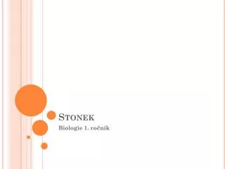stonek