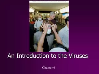 An Introduction to the Viruses