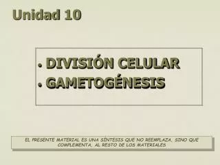 unidad 10