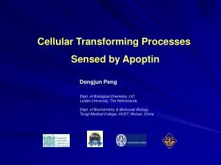 Cellular Transforming Processes Sensed by Apoptin