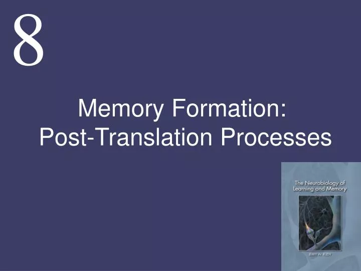 memory formation post translation processes