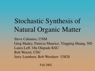Stochastic Synthesis of Natural Organic Matter