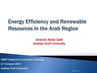Energy Efficiency and Renewable Resources in the Arab Region