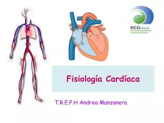 fisiolog a card aca