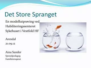 det store spranget