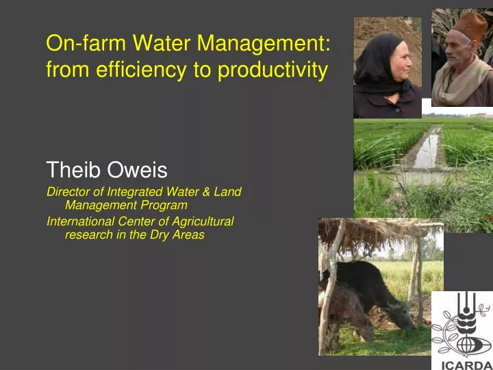 on farm water management from efficiency to productivity