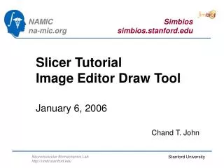 Slicer Tutorial Image Editor Draw Tool