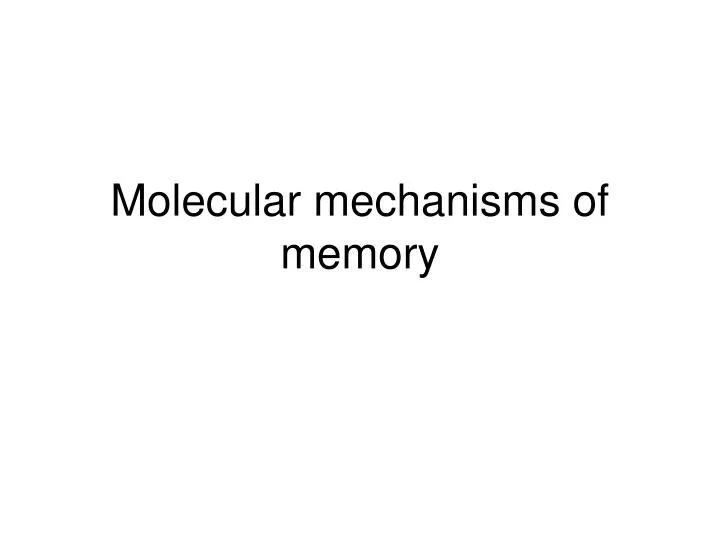 molecular mechanisms of memory