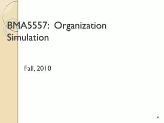 BMA5557: Organization Simulation