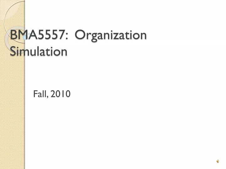 bma5557 organization simulation