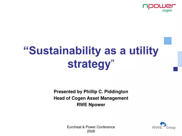 sustainability as a utility strategy