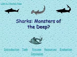 Sharks: Monsters of the Deep?