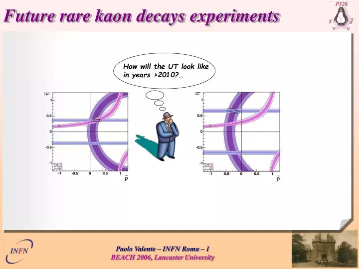 future rare kaon decays experiments
