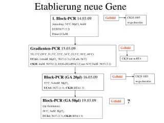 etablierung neue gene
