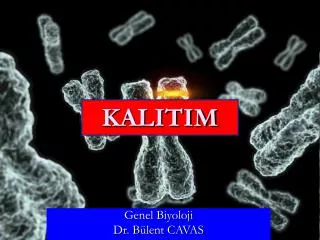 kalitim