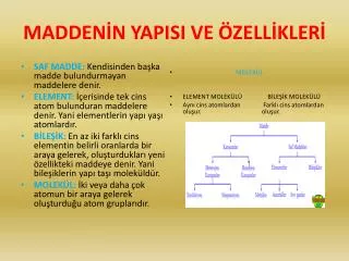 madden n yapisi ve zell kler