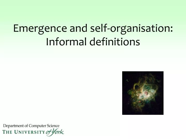 emergence and self organisation informal definitions