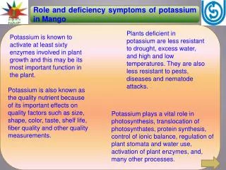 Role and deficiency symptoms of potassium in Mango