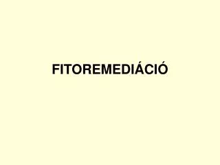 fitoremedi ci