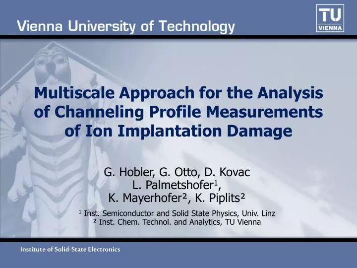 multiscale approach for the analysis of channeling profile measurements of ion implantation damage
