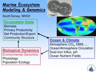 Marine Ecosystem Modeling &amp; Genomics