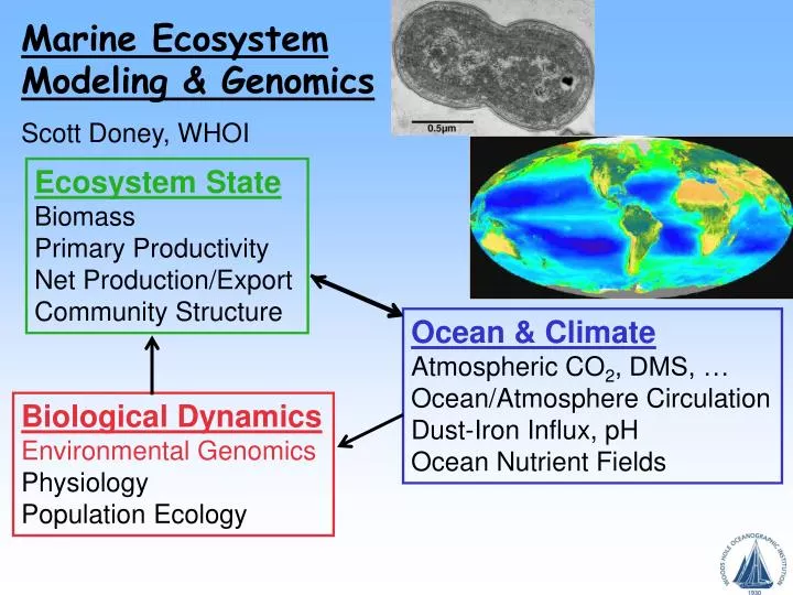 marine ecosystem modeling genomics