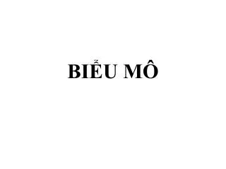 bi u m