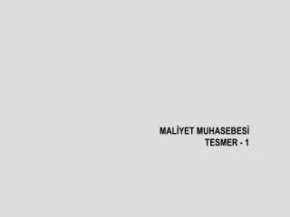 mal yet muhasebes tesmer 1